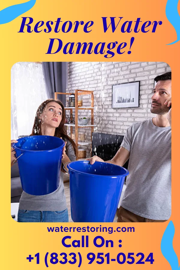 water restoration Quality Damage Recovery Network Lucerne