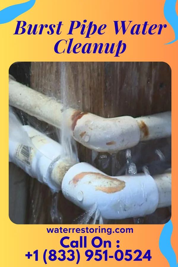 Burst Pipe Water Cleanup in Lucerne, MO