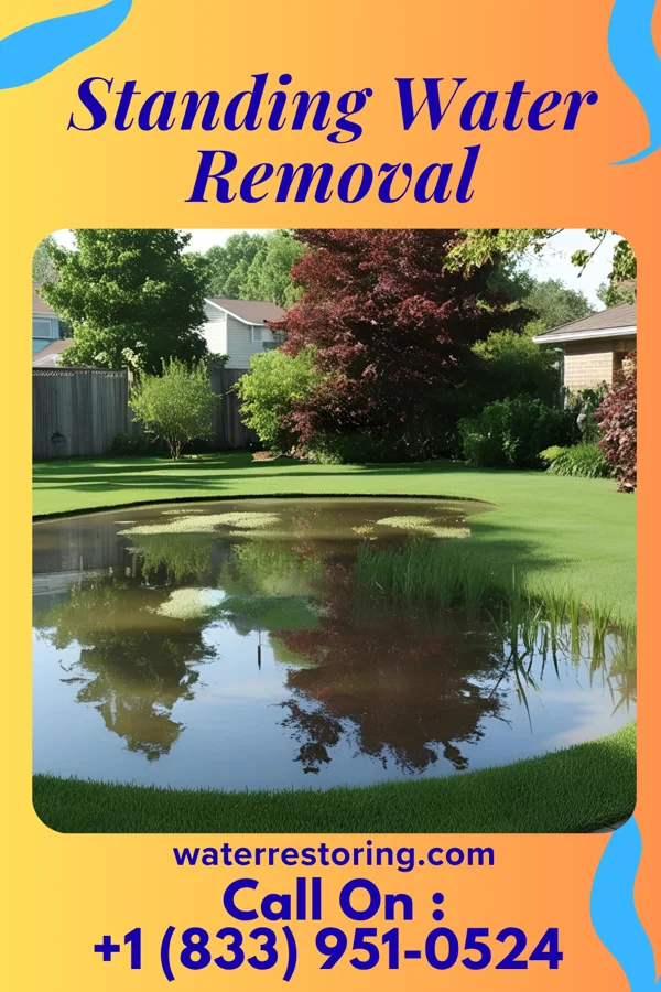 Standing Water Removal in Lucerne, MO
